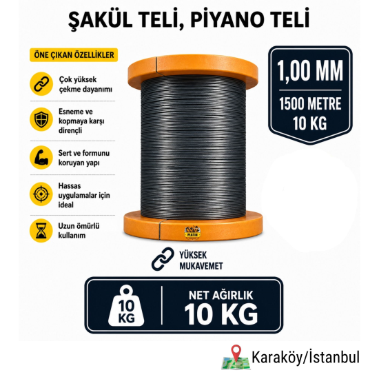 PLTSKT0100_1.jpg