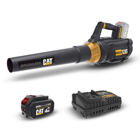 DG250