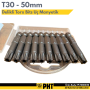 PHT Delikli Torx Bits Uç T30x50mm plt280021