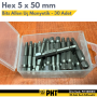 PHT Allen Bits Uç Hex 5mm X 50mm ( 30 Adet ) PLT2800810